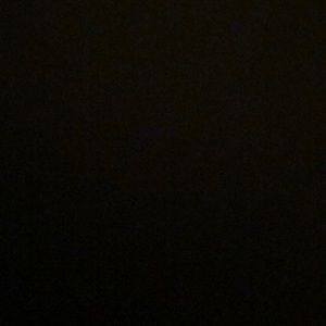 Meet your Posher, Ava